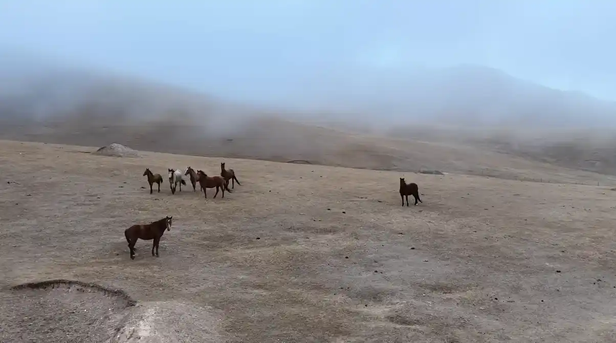 Best Drone Footage Oct 2025 @littlechineseeverywhere